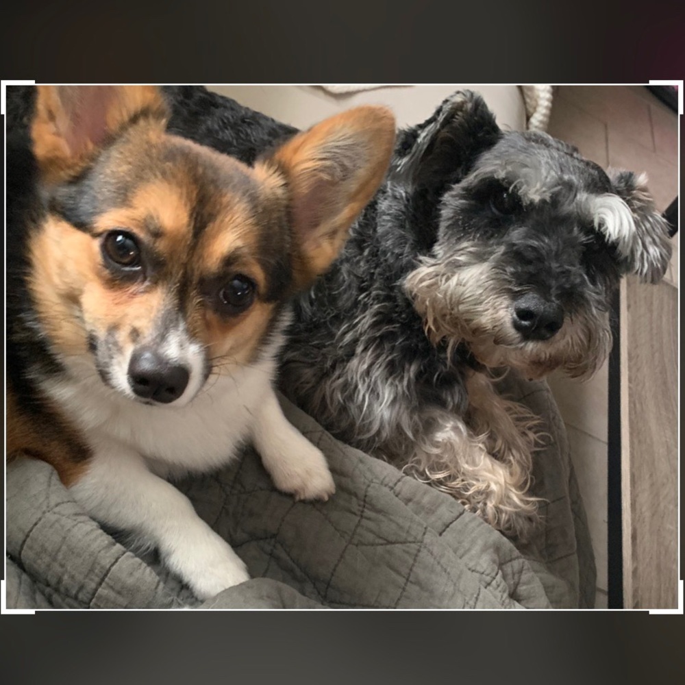 Meet your Posher, Chloe